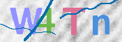 画像に表示された文字を入力して下さい