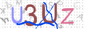 画像に表示された文字を入力して下さい