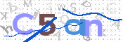 画像に表示された文字を入力して下さい