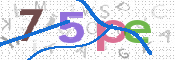画像に表示された文字を入力して下さい