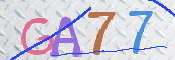 画像に表示された文字を入力して下さい