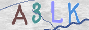 画像に表示された文字を入力して下さい