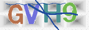 画像に表示された文字を入力して下さい