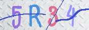 画像に表示された文字を入力して下さい