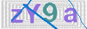 画像に表示された文字を入力して下さい