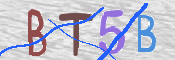画像に表示された文字を入力して下さい