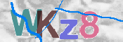 画像に表示された文字を入力して下さい