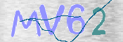 画像に表示された文字を入力して下さい
