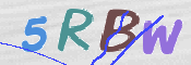 画像に表示された文字を入力して下さい