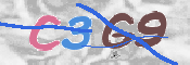 画像に表示された文字を入力して下さい