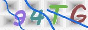 画像に表示された文字を入力して下さい