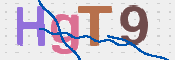 画像に表示された文字を入力して下さい