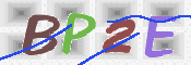 画像に表示された文字を入力して下さい