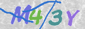 画像に表示された文字を入力して下さい