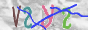画像に表示された文字を入力して下さい