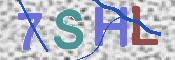 画像に表示された文字を入力して下さい