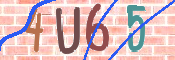 画像に表示された文字を入力して下さい