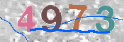 画像に表示された文字を入力して下さい
