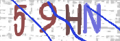 画像に表示された文字を入力して下さい