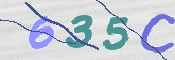 画像に表示された文字を入力して下さい