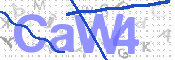 画像に表示された文字を入力して下さい