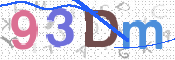 画像に表示された文字を入力して下さい