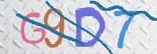 画像に表示された文字を入力して下さい