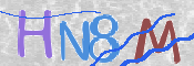 画像に表示された文字を入力して下さい