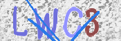 画像に表示された文字を入力して下さい