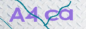 画像に表示された文字を入力して下さい