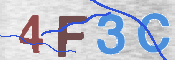 画像に表示された文字を入力して下さい