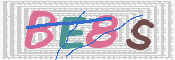 画像に表示された文字を入力して下さい