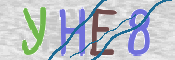 画像に表示された文字を入力して下さい