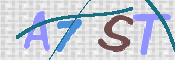 画像に表示された文字を入力して下さい