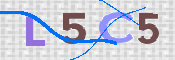 画像に表示された文字を入力して下さい