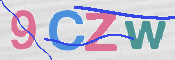 画像に表示された文字を入力して下さい