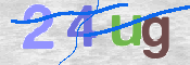 画像に表示された文字を入力して下さい