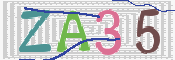 画像に表示された文字を入力して下さい