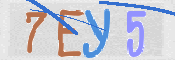画像に表示された文字を入力して下さい