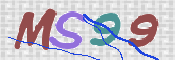 画像に表示された文字を入力して下さい