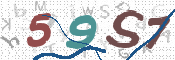 画像に表示された文字を入力して下さい