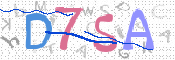 画像に表示された文字を入力して下さい