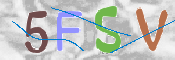 画像に表示された文字を入力して下さい