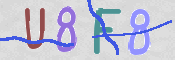 画像に表示された文字を入力して下さい