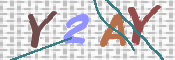 画像に表示された文字を入力して下さい