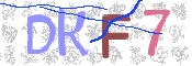 画像に表示された文字を入力して下さい