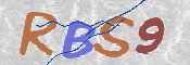 画像に表示された文字を入力して下さい