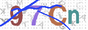 画像に表示された文字を入力して下さい