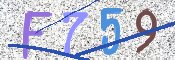 画像に表示された文字を入力して下さい