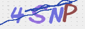 画像に表示された文字を入力して下さい